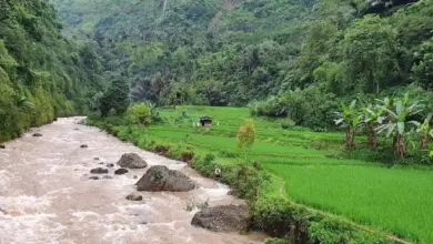 Curug Ceret Naringgul