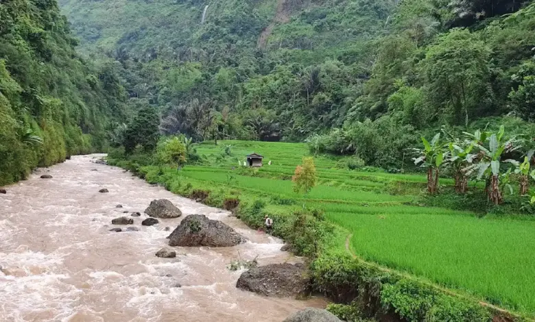 Curug Ceret Naringgul
