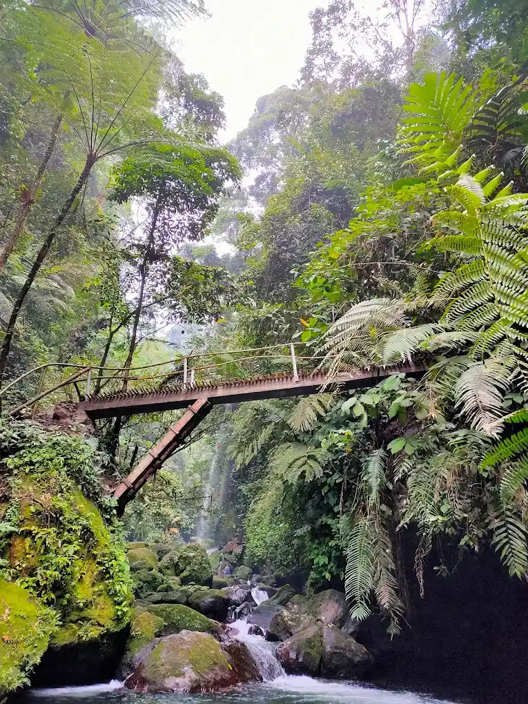 Tips Bertandang ke Curug Pamijahan Bogor