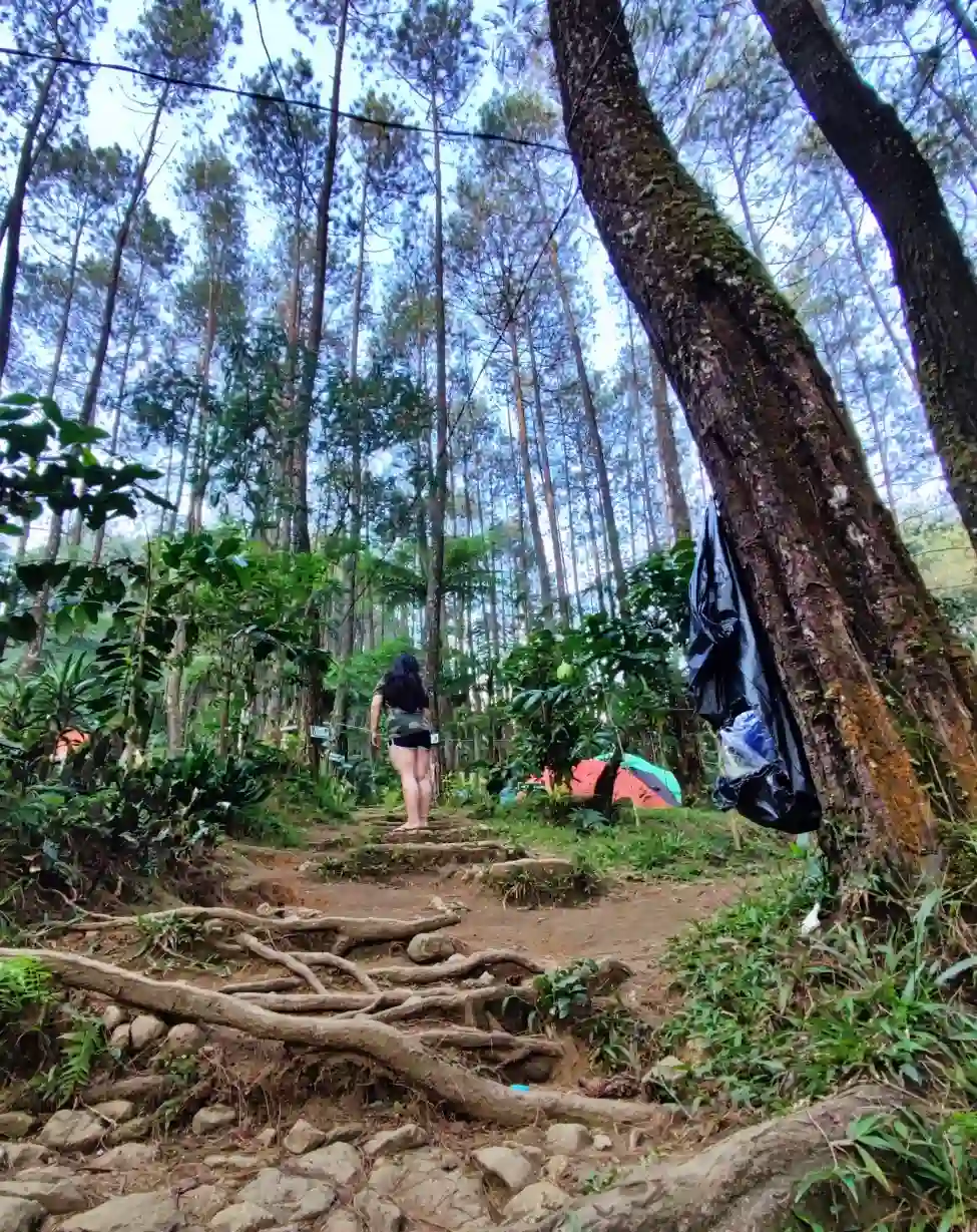 Daya Tarik Curug Batu Gede